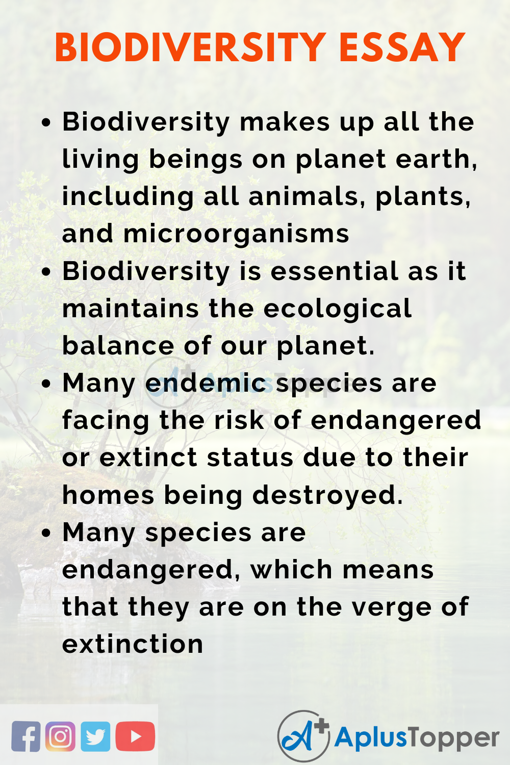 Essay on Biodiversity