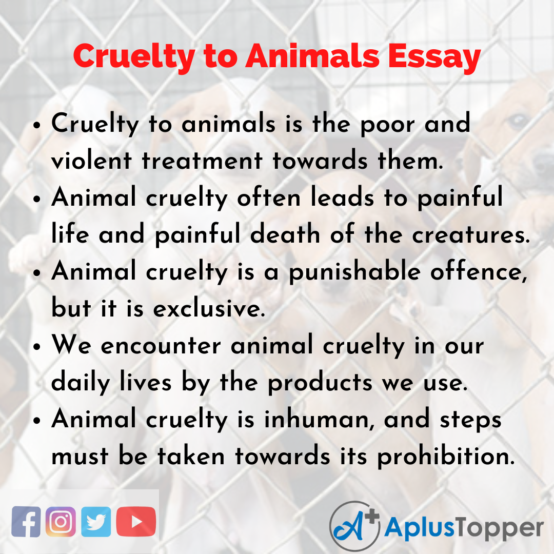 Essay on Cruelty to Animals