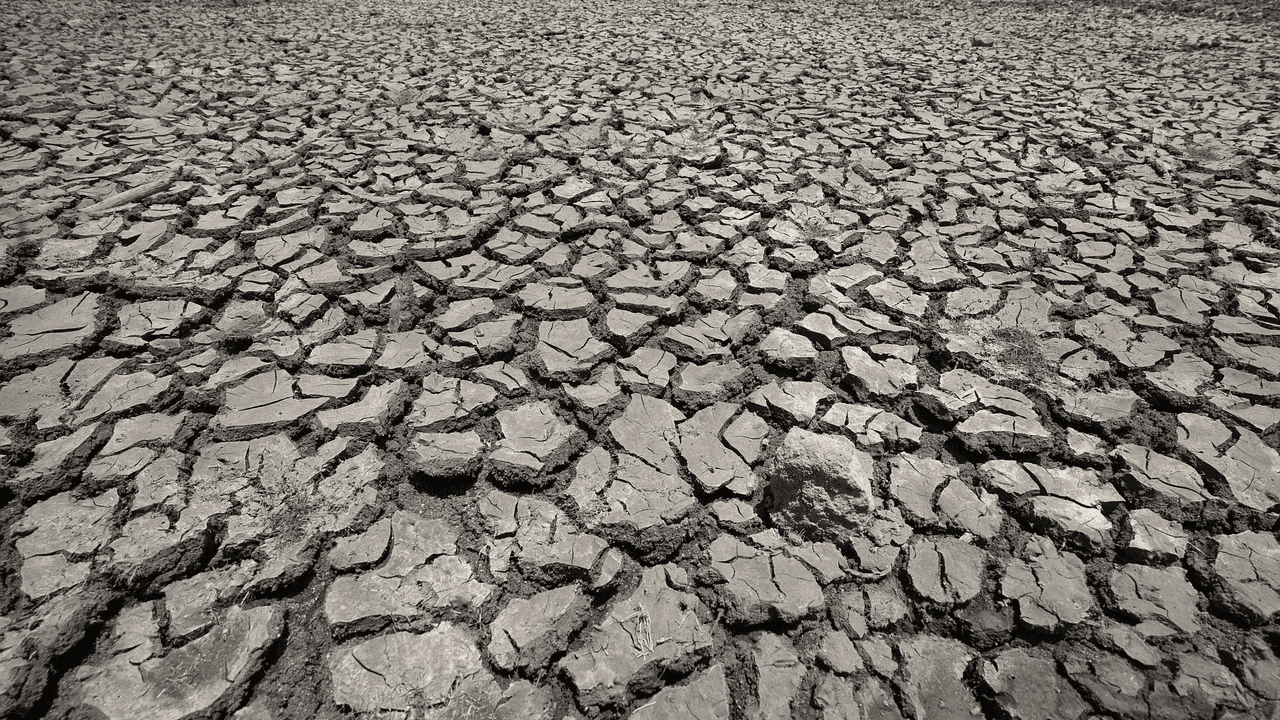 Essay on Drought