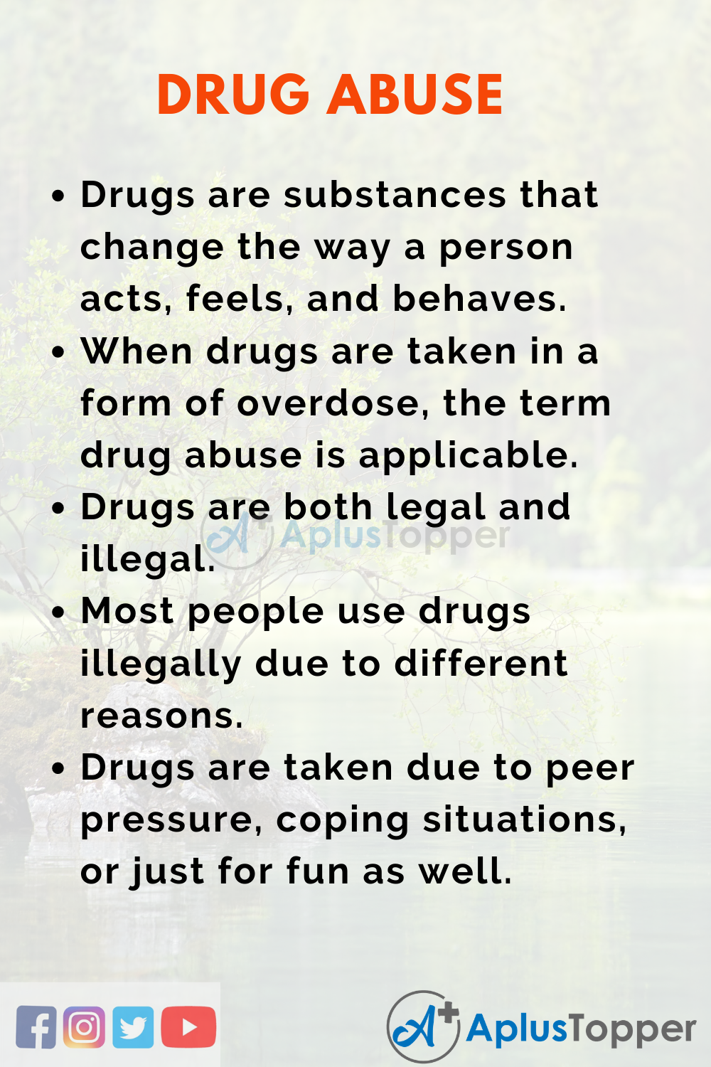 Essay on Drug Abuse