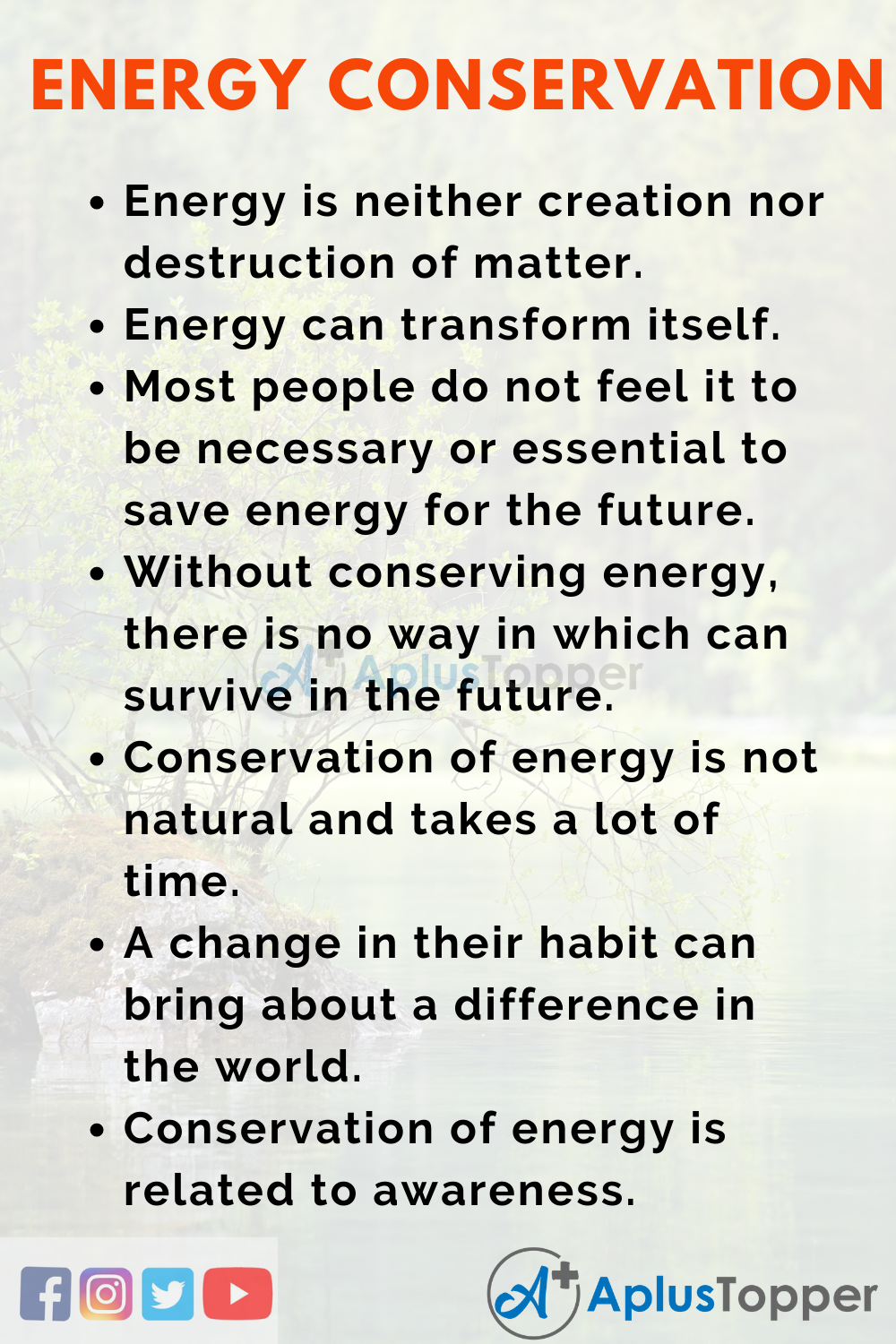 Essay on Energy Conservation