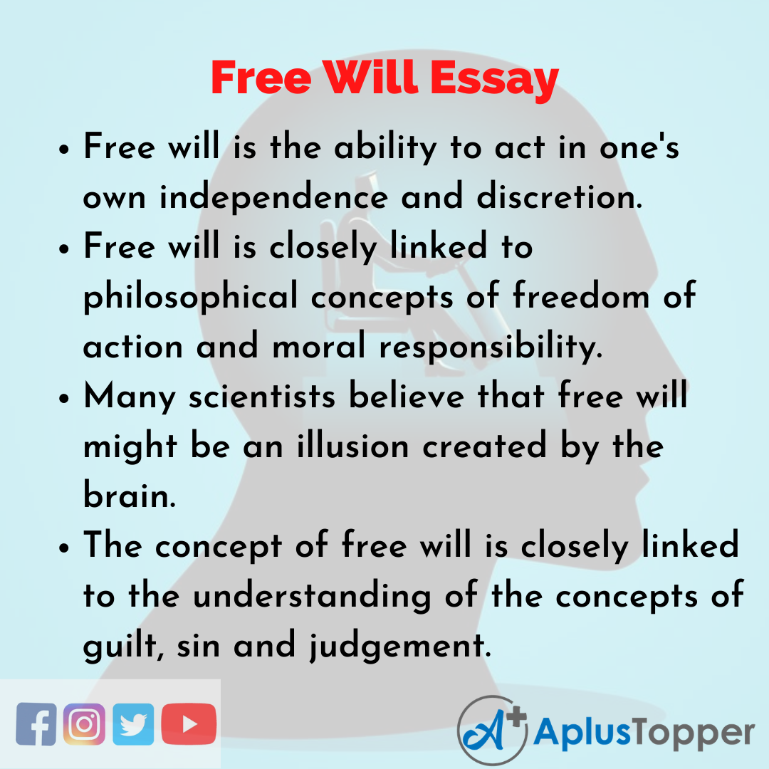 Essay on Free Will