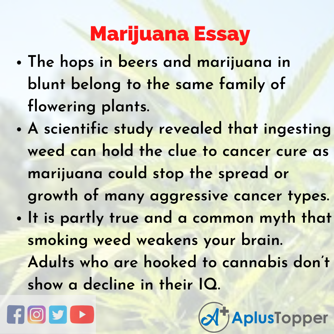 Essay on Marijuana