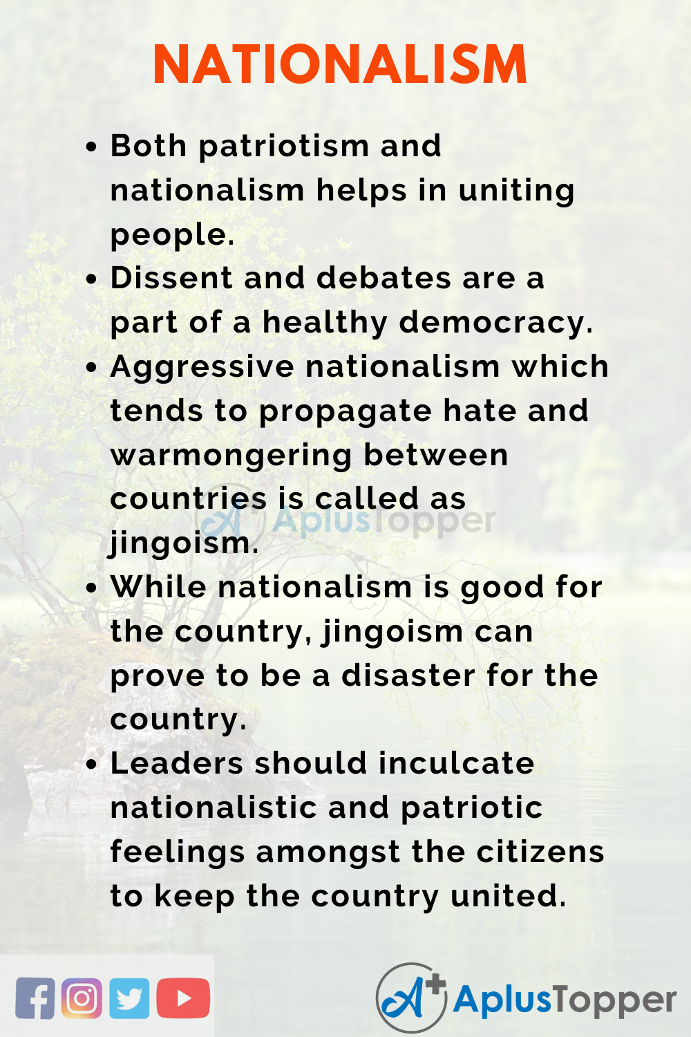 Essay on Nationalism