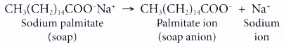 Explain the Cleansing Action Of Soaps and Detergents 1