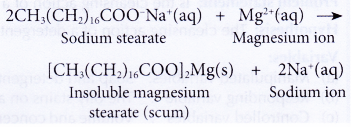 Explain the Cleansing Action Of Soaps and Detergents 11