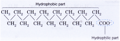 Explain the Cleansing Action Of Soaps and Detergents 2