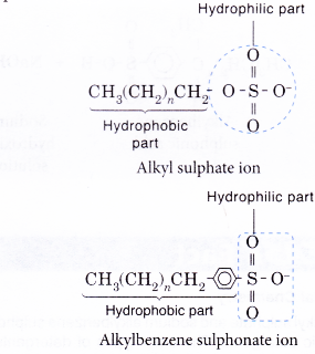 Explain the Cleansing Action Of Soaps and Detergents 4