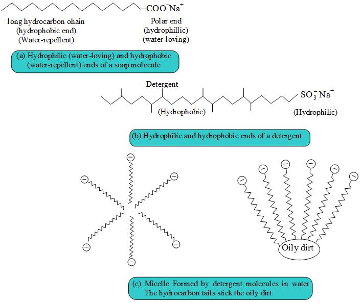 Explain the Cleansing Action Of Soaps and Detergents 8