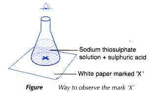 Explain the effect of concentration on the rate of reaction 4