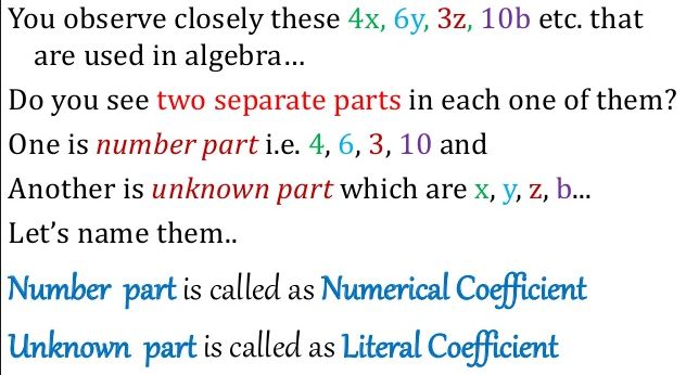 Factors And Coefficients Of A Polynomial 1