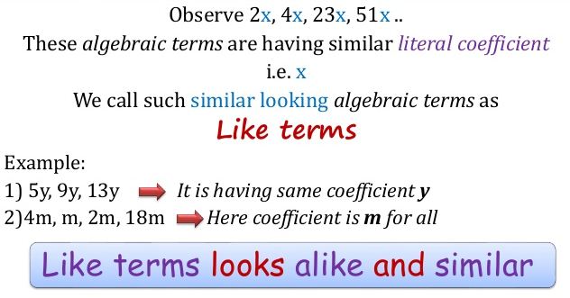 Factors And Coefficients Of A Polynomial 2