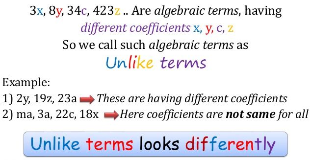 Factors And Coefficients Of A Polynomial 3