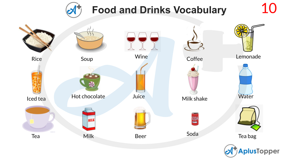 Food Vocabulary List