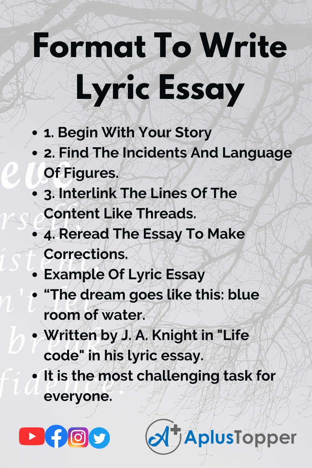 Format To Write Lyric Essay