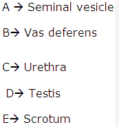 Frank ICSE Class 10 Biology Solutions - Human Population 2