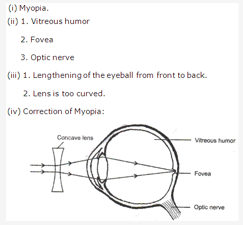 Frank ICSE Class 10 Biology Solutions - Nervous System 11