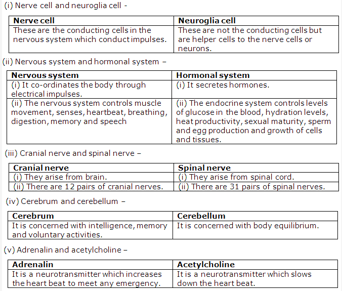 Frank ICSE Class 10 Biology Solutions - Nervous System 2