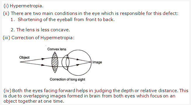 Frank ICSE Class 10 Biology Solutions - Nervous System 9