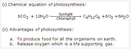 Frank ICSE Class 10 Biology Solutions - Photosynthesis 1