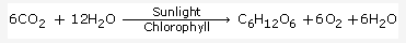 Frank ICSE Class 10 Biology Solutions - Photosynthesis 2