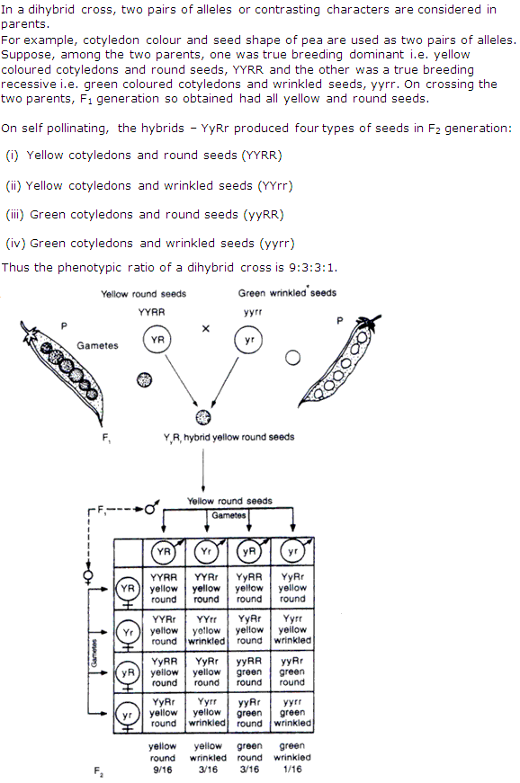 Frank ICSE Class 10 Biology Solutions - Principles of Genetics 2