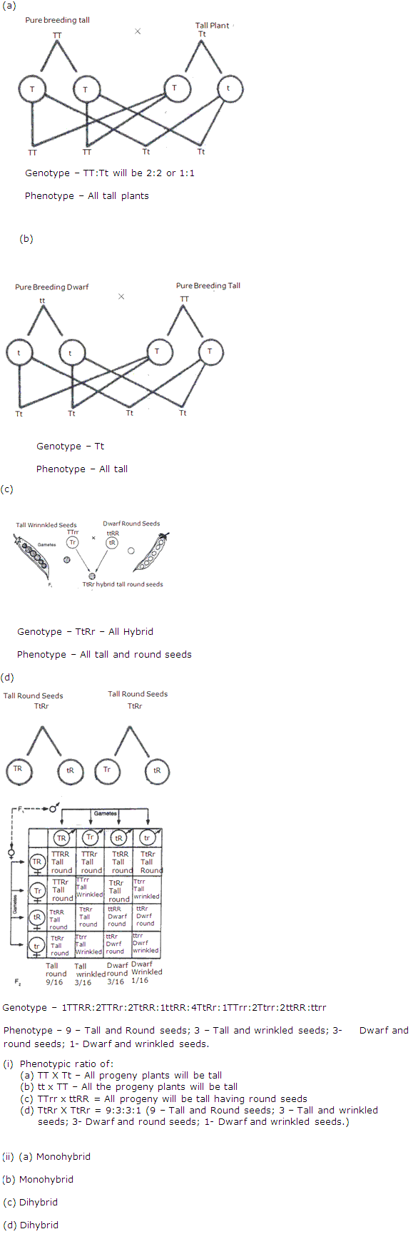 Frank ICSE Class 10 Biology Solutions - Principles of Genetics 3