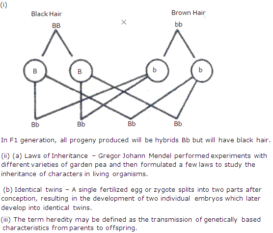 Frank ICSE Class 10 Biology Solutions - Principles of Genetics 6