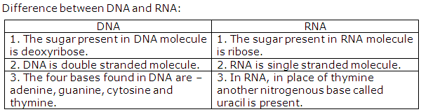 Frank ICSE Class 10 Biology Solutions - Structure of Chromosomes 2