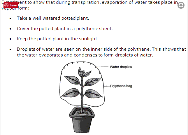 Frank ICSE Class 10 Biology Solutions - Transpiration 1