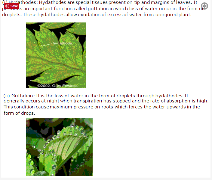 Frank ICSE Class 10 Biology Solutions - Transpiration 7