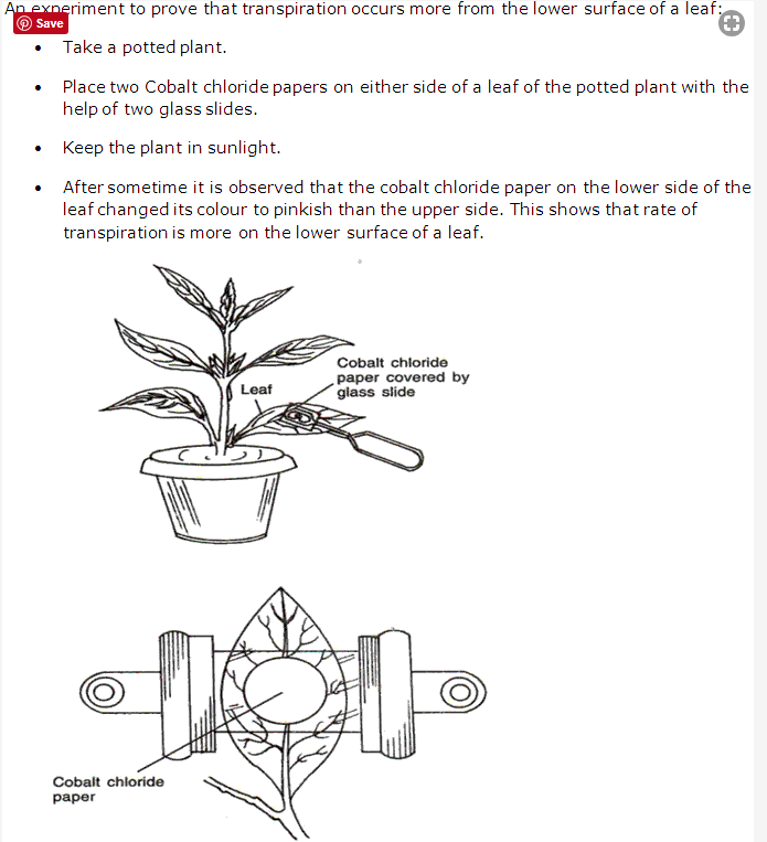 Frank ICSE Class 10 Biology Solutions - Transpiration 9