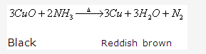 Frank ICSE Solutions for Class 10 Chemistry - Ammonia 21