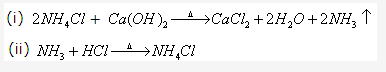 Frank ICSE Solutions for Class 10 Chemistry - Ammonia 32