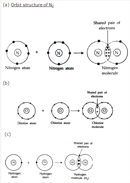 Frank ICSE Solutions for Class 10 Chemistry - Chemical Bonding 3