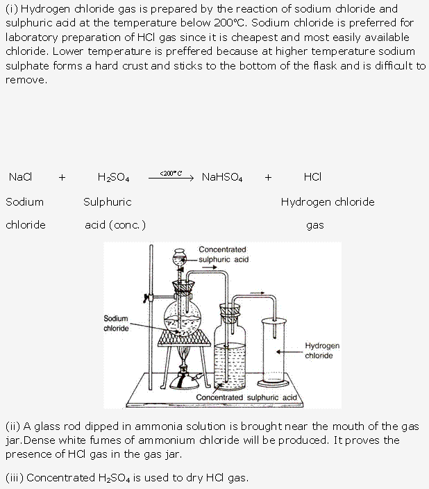 Frank ICSE Solutions for Class 10 Chemistry - Study of Compounds-I Hydrogen Chloride 4