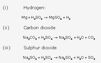 Frank ICSE Solutions for Class 10 Chemistry - Study of Sulphur Compound Sulphuric Acid 21