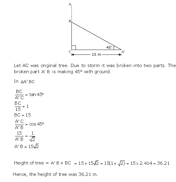 Frank ICSE Solutions for Class 10 Maths Heights and Distances Ex 22.1 13