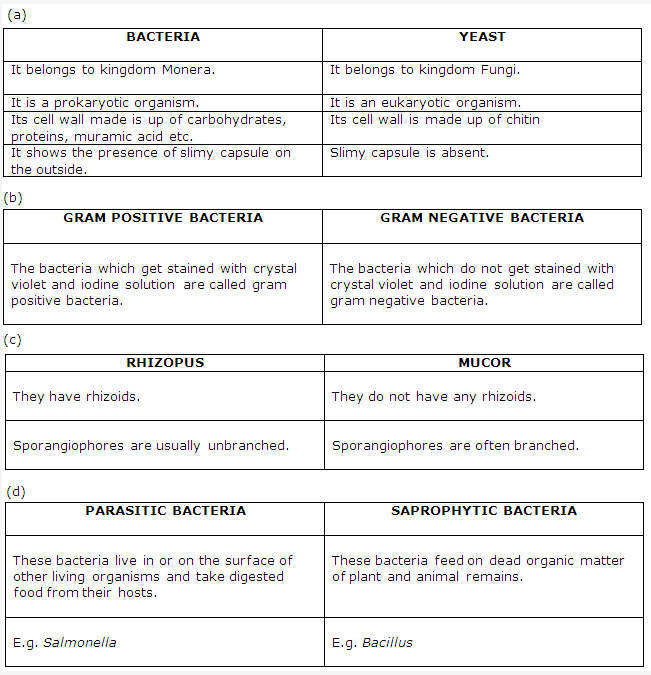 Frank ICSE Solutions for Class 9 Biology - Bacteria and Fungi Their Importance 5