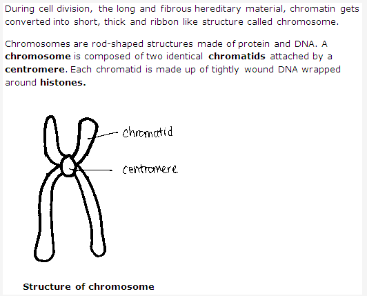 Frank ICSE Solutions for Class 9 Biology - Being Alive - The Cell- A unit of Life 2