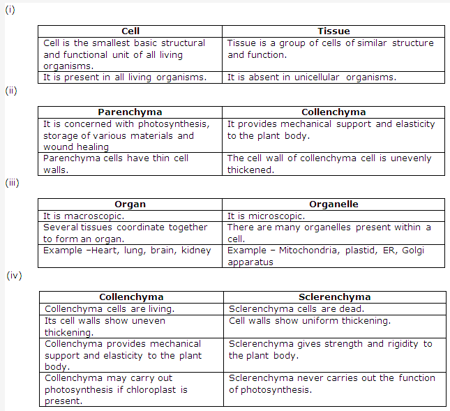 Frank ICSE Solutions for Class 9 Biology - Being Alive - Tissues 2