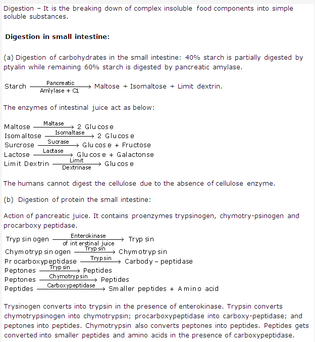 Frank ICSE Solutions for Class 9 Biology - Digestive System 3