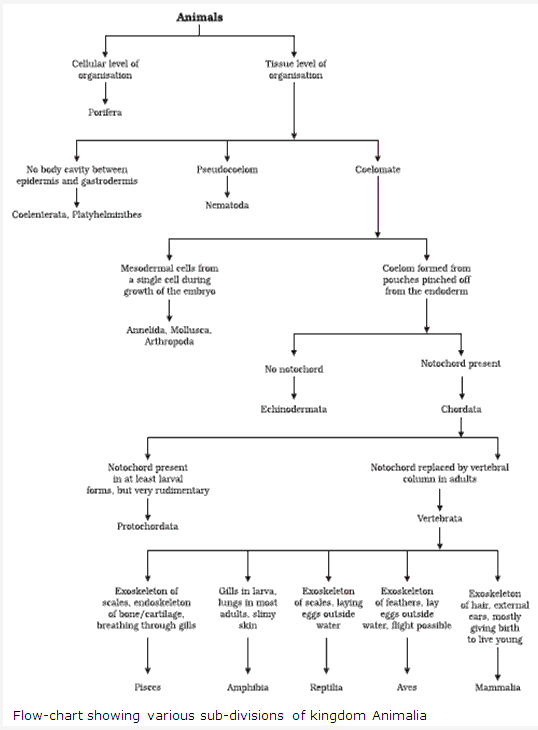 Frank ICSE Solutions for Class 9 Biology - Diversity of Life and Classification 2