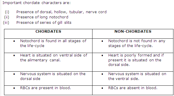 Frank ICSE Solutions for Class 9 Biology - Diversity of Life and Classification 4