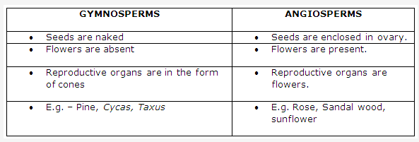 Frank ICSE Solutions for Class 9 Biology - Diversity of Life and Classification 5