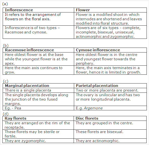 Frank ICSE Solutions for Class 9 Biology - Flowers 7