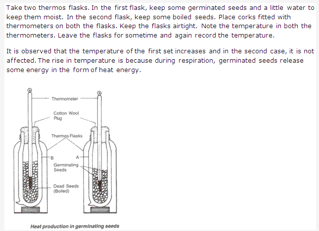 Frank ICSE Solutions for Class 9 Biology - Respiration in Plants 3