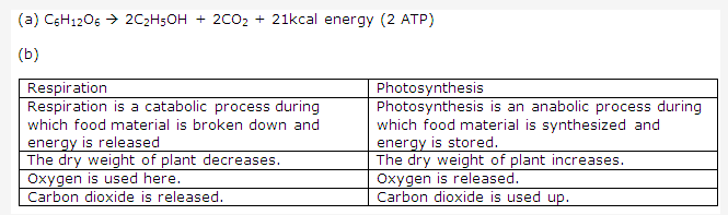 Frank ICSE Solutions for Class 9 Biology - Respiration in Plants 5