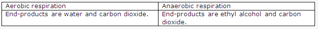 Frank ICSE Solutions for Class 9 Biology - Respiration in Plants 7