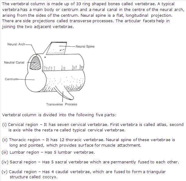 Frank ICSE Solutions for Class 9 Biology - The Skeletal System 2